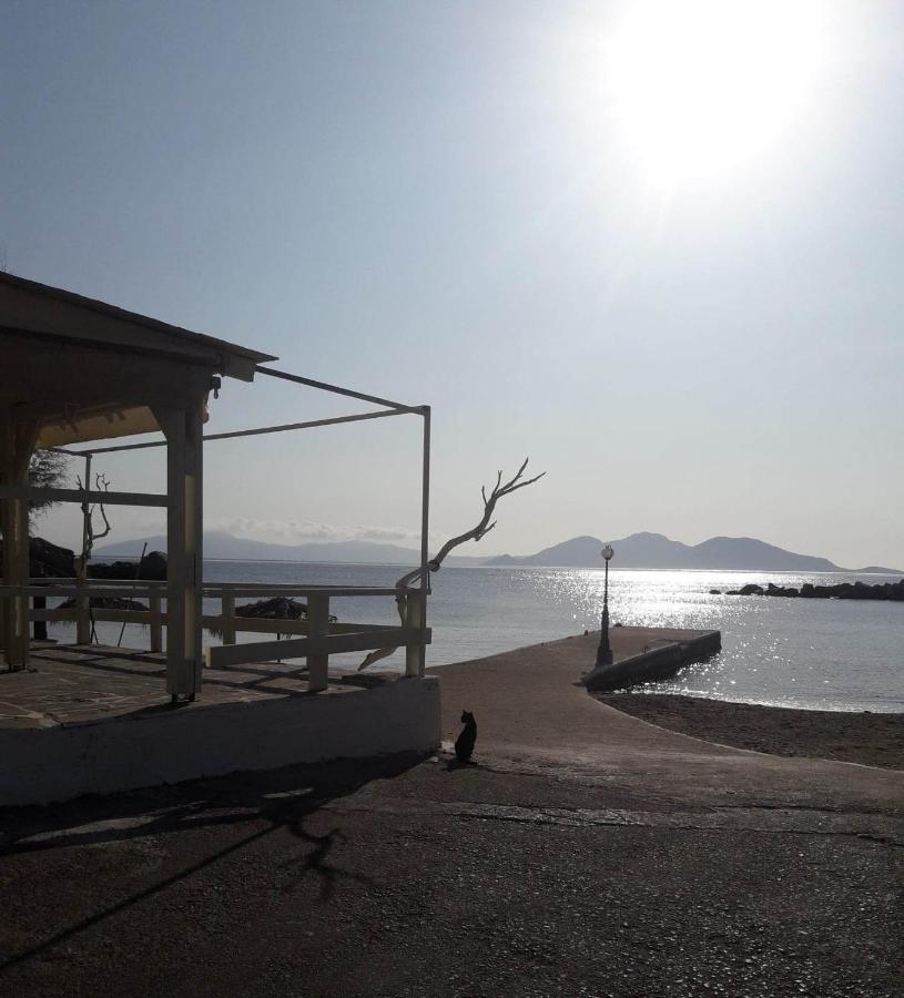 Hotel Rena Ágios Kírykos Dış mekan fotoğraf